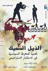 الذيل السميك : أهمية المعرفة السياسية في الاستثمار الاستراتيجي